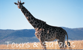 Vera Travel Services Tanzania