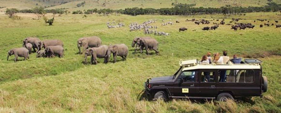 Vera Travel African Safaris